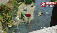 Arnavutköy’de kötü koku yayan dereye vatandaşlar tepki gösterdi.