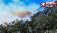 Antalya Konyaaltı'nda ormanlık alanda yangın çıktı.