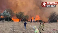 Aydın genelinde hafta sonu 11 farklı noktada yangın çıktı.