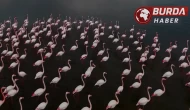 Aslan: "Allı turnalar selam getirmeye başladı"