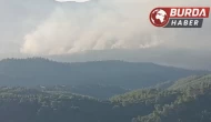 İzmir’de orman yangını sürüyor... Havadan müdahale yeniden başladı.