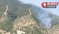 Manisa’da orman yangınına havadan ve karadan müdahale ediliyor.