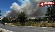Çeşme’de çıkan yangın rüzgarın da etkisiyle geniş bir alana yayıldı.