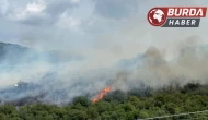 Kocaeli’de çıkan orman yangınına müdahale sürüyor.