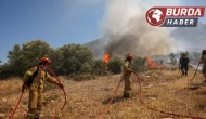 Girit Adası’nda orman yangını çıktı, 5 bin kişi tahliye edildi.