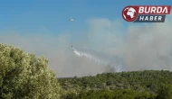 Çeşme ve Ödemiş’teki orman yangınları devam ediyor.