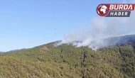 Çankırı-Kastamonu sınırındaki orman yangınının çıkış anı kamerada!