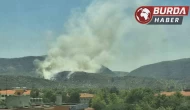 Yangınlar bu defa Selçuk’a sıçradı, karadan müdahale yapılıyor.