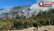 Manisa’daki orman yangınlarına bir yenisi daha eklendi.