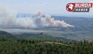 Kahramanmaraş'ın Kıyıkcı köyünde ormanlık alanda yangın çıktı.