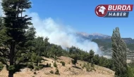 Isparta’nın Sütçüler ilçesinde ormanlık alanda yangın çıktı.