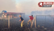 Silivri’deki yangında 100 hektar ormanlık alan zarar gördü.