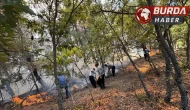 Adana Feke’de orman yangınına ekiplerin müdahaleleri devam ediyor.