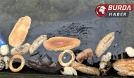 Rize'de yüzlerce ekmek, simit ve mısır ekmeğini denize döktüler.