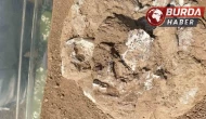 Gürcistan’da 1,8 milyon yıllık alt çene kemiği bulundu.