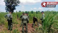 Tayland - Kamboçya sınırında ateşkesin ihlal edildiği iddiası!