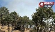 Buldan’da ormanlık alanda yeniden yangın çıktı.