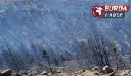 Kahramanmaraş’taki orman yangını ile mücadele sürüyor.