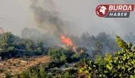 Mersin’in Silifke ilçesinde dün başlayan orman yangını devam ediyor.