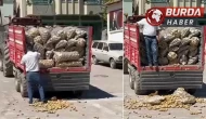 Yozgat'ta ilçe başkanının patates şovu pahalıya patladı.