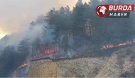 Bolu’da orman yangını başladı: Havadan ve karadan müdahale ediliyor.
