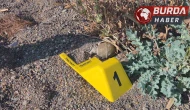 İznik Gölü kıyısında bulunan el bombası paniğe neden oldu.