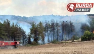 Osmaniye’nin Sumbas ilçesinde orman yangını başladı.
