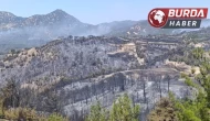 Ot temizlemek isterken ormanı yakan 3 kişi gözaltına alındı