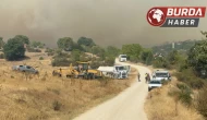 Karabük’te çıkan orman yangını Kastamonu’ya sıçradı.