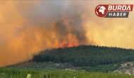 Yangına 3 uçak 11 helikopter ve 242 personel müdahale ediyor.