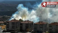 Salça yaparken sıçrayan kıvılcımla 30 dönüm makilik alan kül oldu