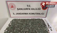 Şanlıurfa'da Tarihi Eser Kaçakçılığı: Binlerce Sikke Ele Geçirildi