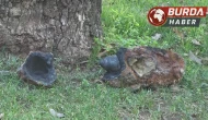 Çanakkale'de Parkta Patlamamış Askeri Mühimmat Bulundu