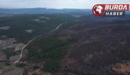 Bursa’da orman yangınında yaralar böyle sarıldı