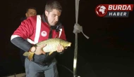Samsun’da kaçak avcılığa geçit yok: 60 kiloluk sazan suya bırakıldı
