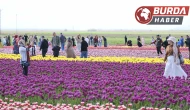 Türkiye’nin en büyük lale tarlasına ziyaretçi akını