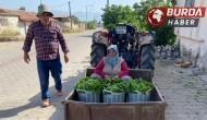 Üzüm hasadı öncesi yaprak kazandırdı