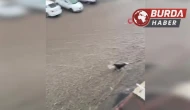 Başkent’te sel sularına kapılan kişiyi kurtarma çabaları