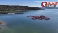 Bozkırdan dünyaya uzanan somon yolculuğu