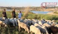 Çobanlık yaparken 2 dil öğrendi, üniversiteyi birincilikle mezun oldu