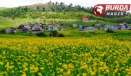 Altınpınar Yaylası ziyaretçilerine eşsiz bir görsel şölen sunuyor