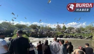 İnci kefalinin zorlu göç yolculuğu ziyaretçilerin ilgi odağı oldu