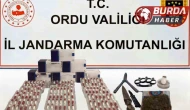 Ordu ve Samsun’da uyuşturucu operasyonu: 7 kişi tutuklandı