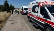 Arının neden olduğu kazada 1 kişi hayatını kaybetti