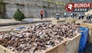 Mersin'de tırın dorsesi patladı, 15 ton balık atığı yola saçıldı