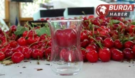 Çay bardağına sığmayan Lapseki kirazında hasat başladı