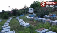 Keven ve kekik balı üretimi için yayla yolculuğu başladı
