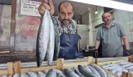 Balık tezgahlarında sezonun favorisi palamut ve hamsi hareketlilik getirdi.