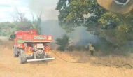 Subaşı'da Ormanlık Alanda Çıkan Yangın Kontrol Altına Alındı