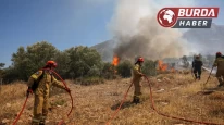 Girit Adası’nda orman yangını çıktı, 5 bin kişi tahliye edildi.